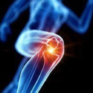 Meniscus Tear & Cartilage Defects